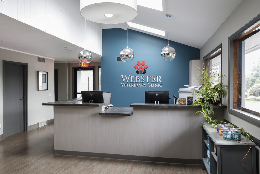 veterinary-clinic-design-nj-2