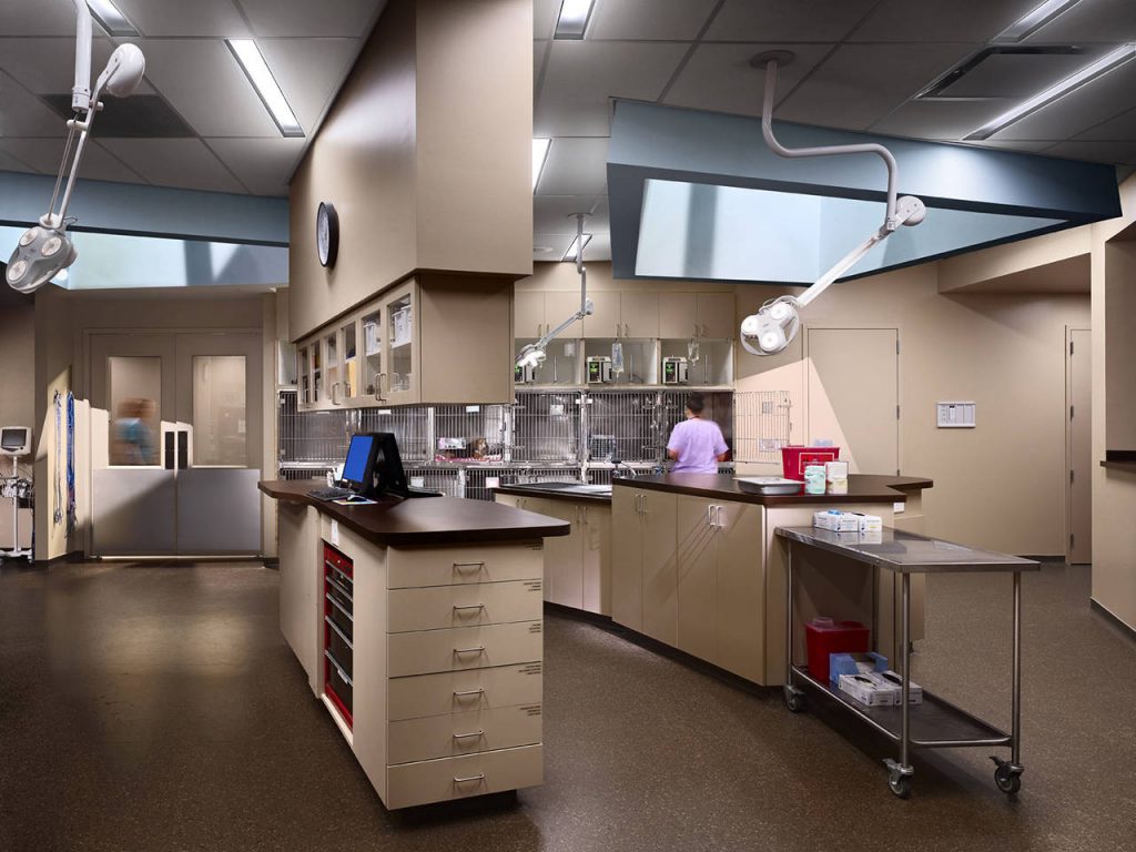veterinary-clinic-design-nj-3